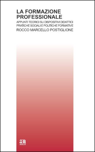 La formazione professionale. Appunti teorici su dispositivi didattici, pratiche sociali e politiche formative